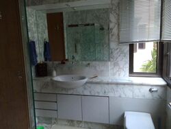 Four Seasons Park (D10), Condominium #549386571